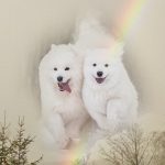 Mutter und Tochter wieder vereint